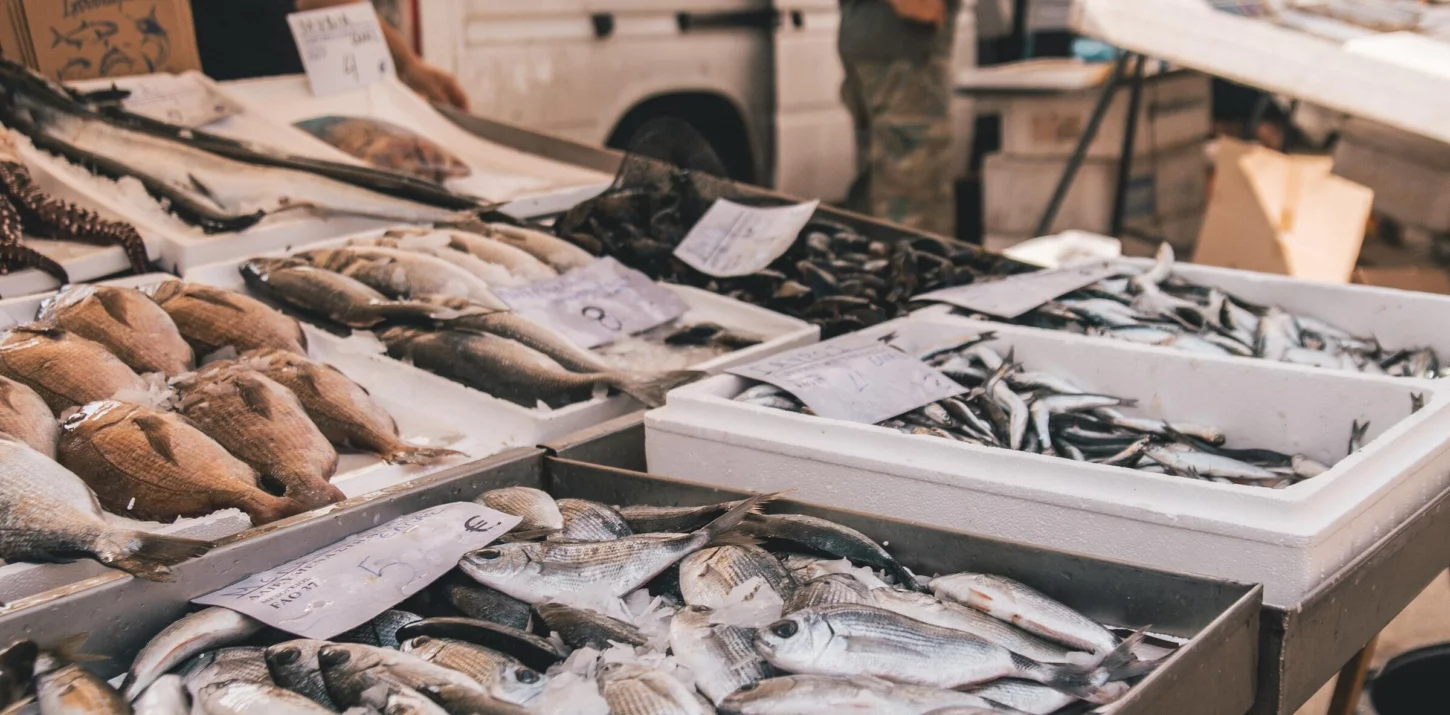 Marko markovic 56k Wr2jlorw unsplash